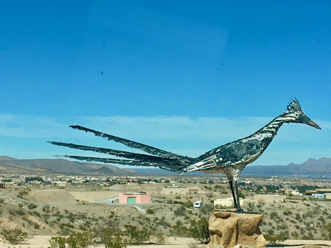Road runner